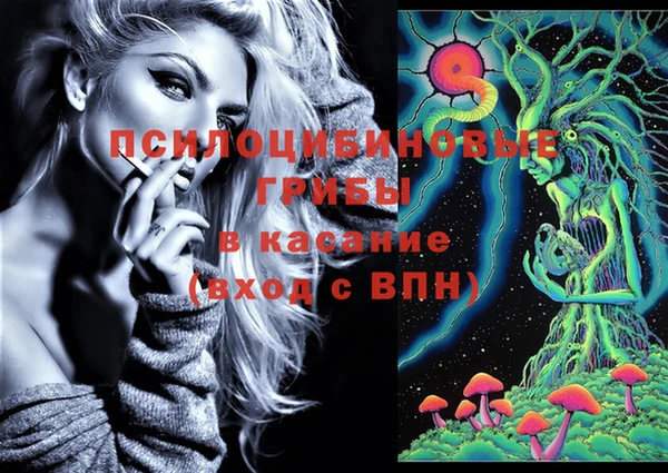 mix Вяземский