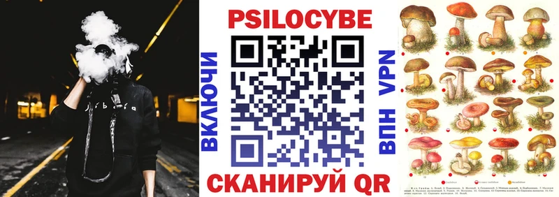 Псилоцибиновые грибы мицелий Иланский