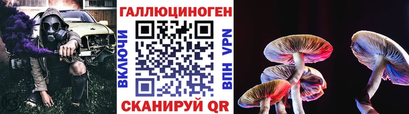 дарнет шоп  Иланский  Псилоцибиновые грибы прущие грибы 